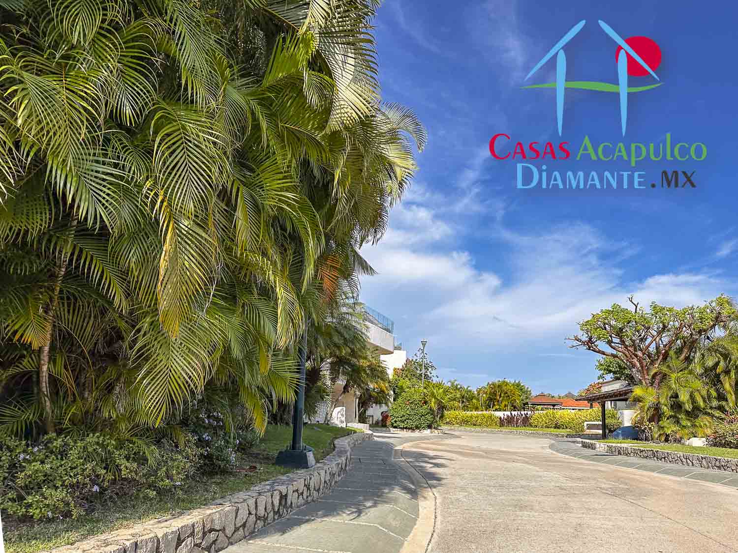 Terreno La Cima PS 16 - Vialidades La Cima 14 Terreno La Cima PS 16 - Vialidades La Cima 14